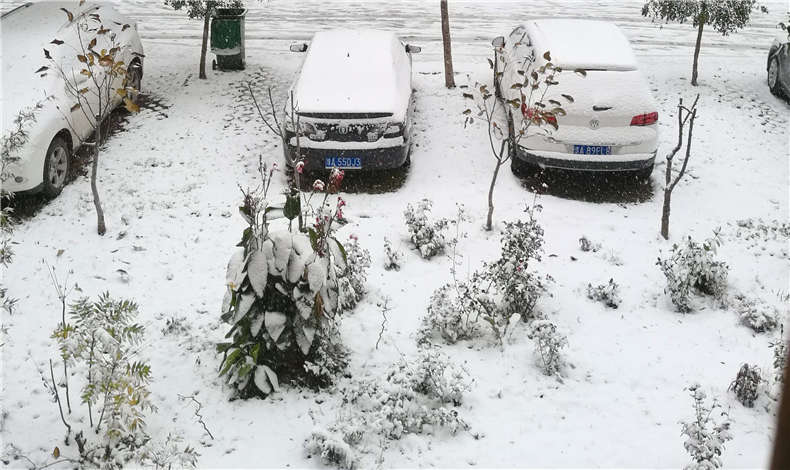 蘇浙滬8省暴雪預警，至尊卡爾用戶請注意